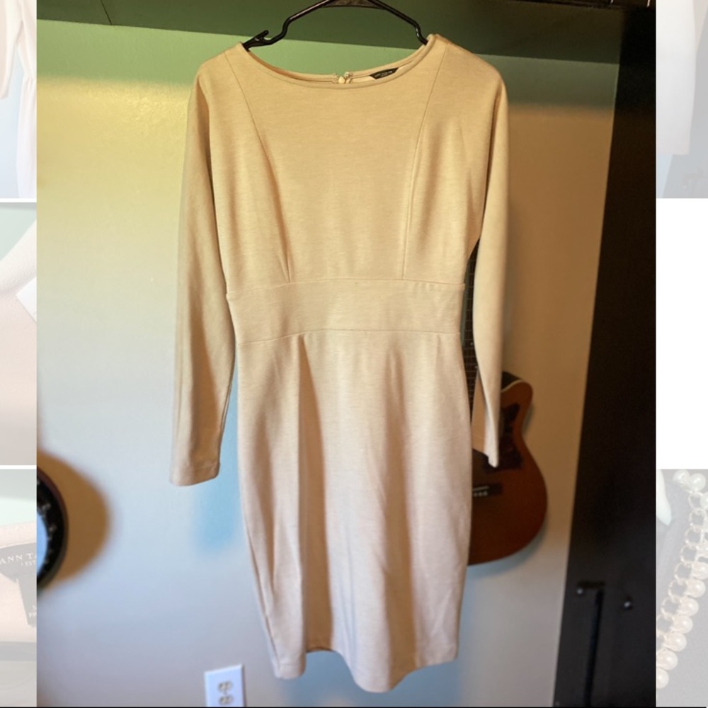Tan Ann Taylor dress.